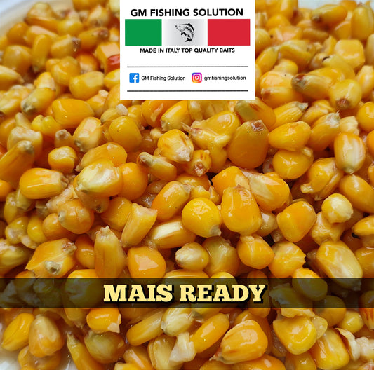 MAIS READY 5KG NATURALE