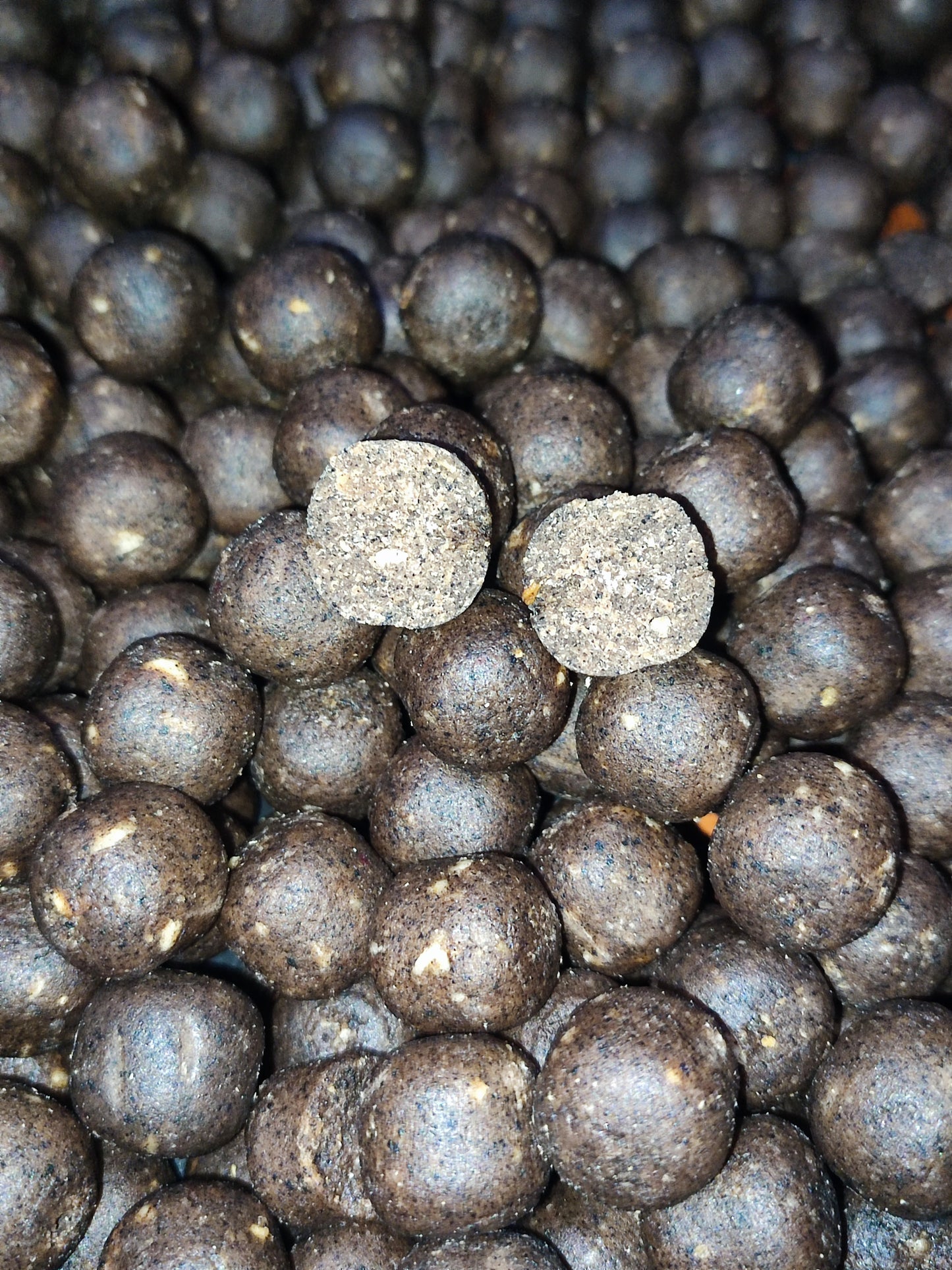 BLOODWORM SPYCE 3KG