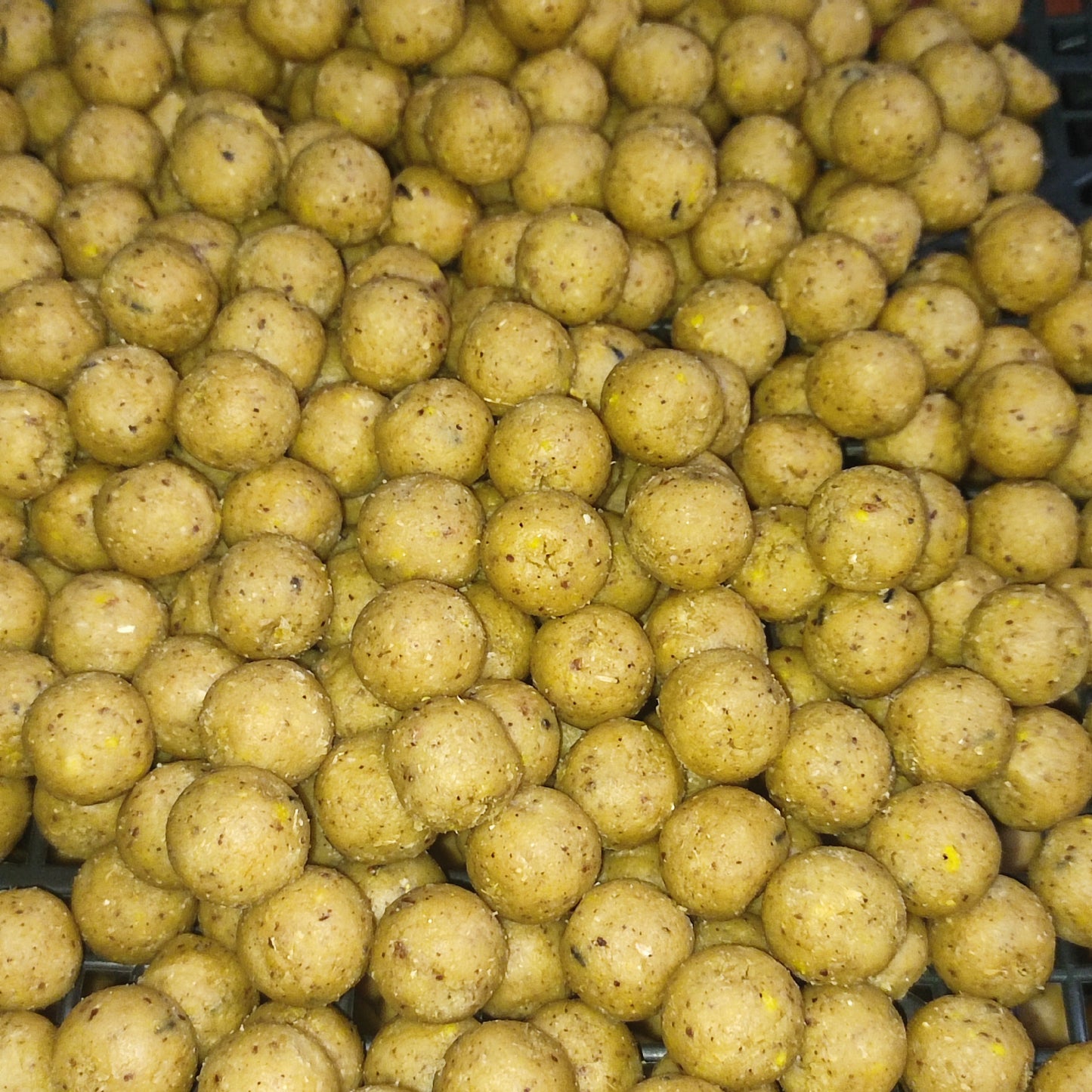 24mm 5KG