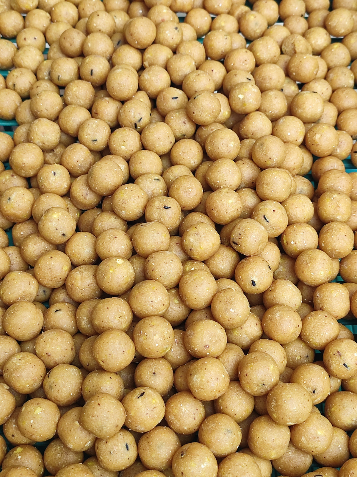 SCOPEX & GARLIC