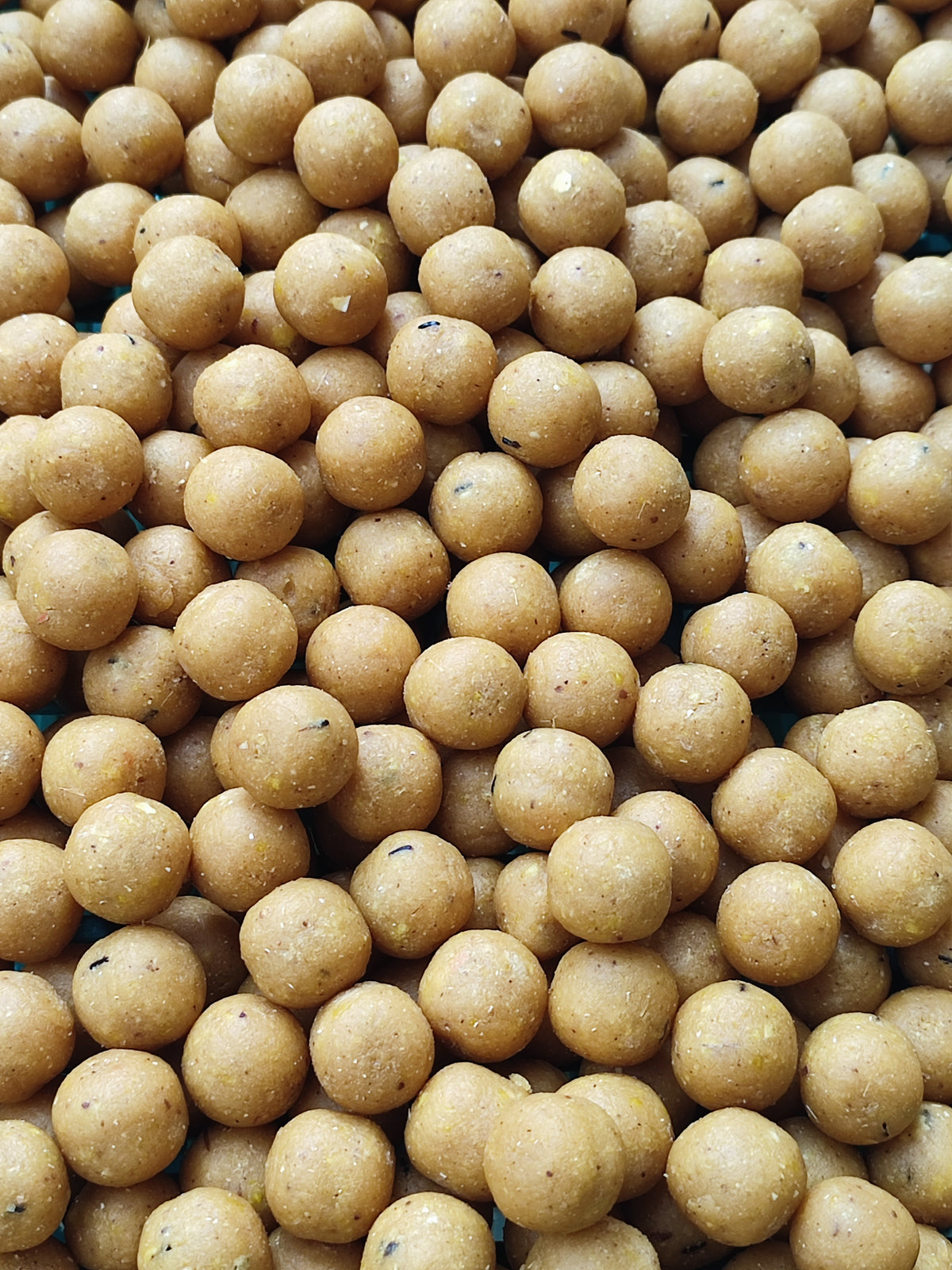 SCOPEX YEAST
